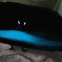 Bird of Paradise
