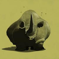 Black Rhino
