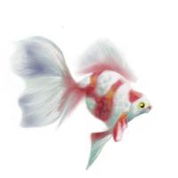 Goldfish