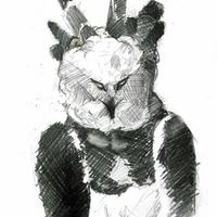 Harpy Eagle