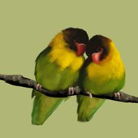 Lovebirds