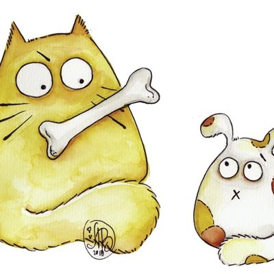 Cat-titude