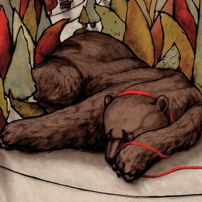 Little Lost Bear