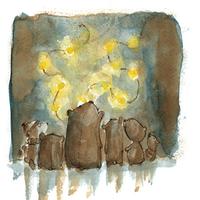 Bear night