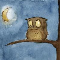 NIght owl