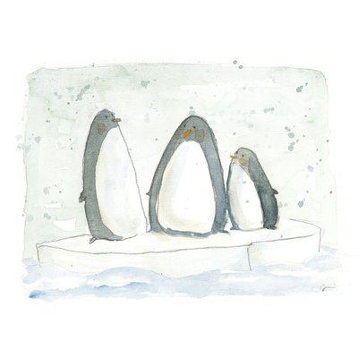penguins