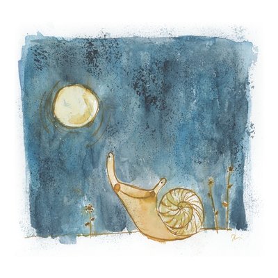 Snail
