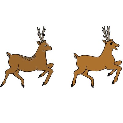 Flying reindeer