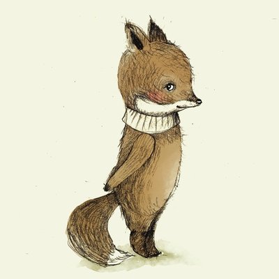A fox