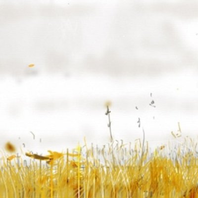 The Orange Chair: meadow