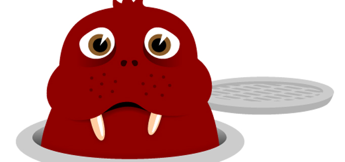 Walrus