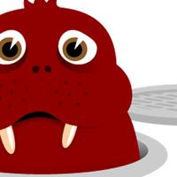 Walrus