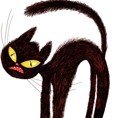 Black Cat