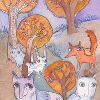 Enchanted forest