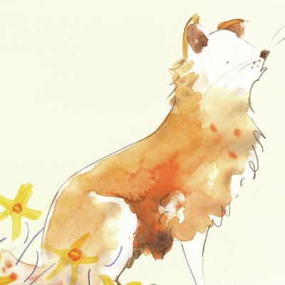 Amongst the Daffodils