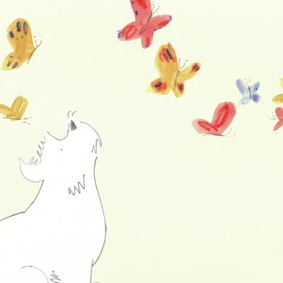 Butterflies