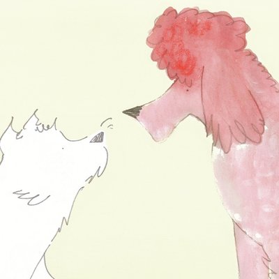 Poodle