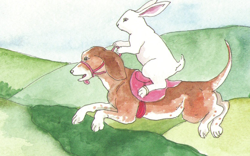 Riding the Beagle