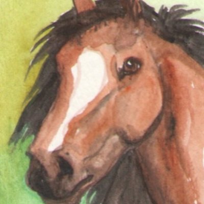 Bay Mustang