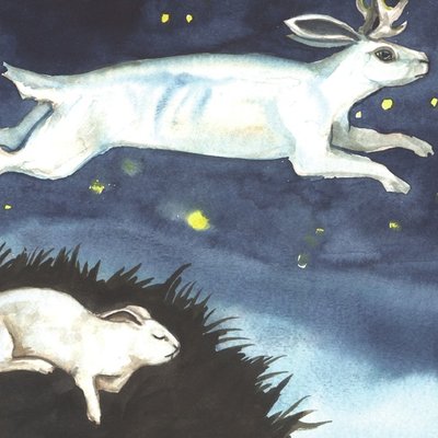 Jackalope Dream