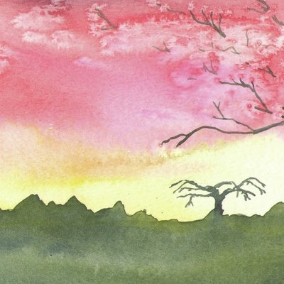 Plum Blossoms