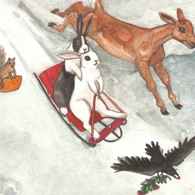 Race Down the Hill