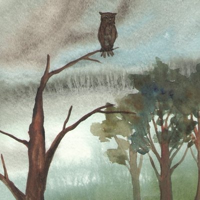 rain owl