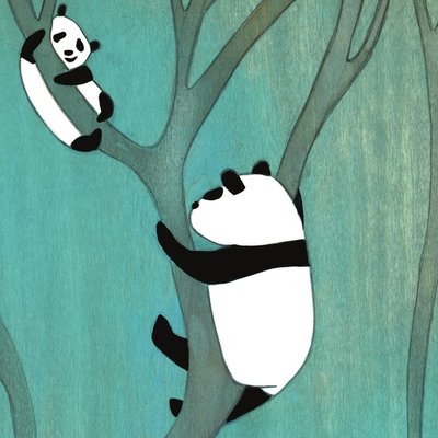 Curious pandas
