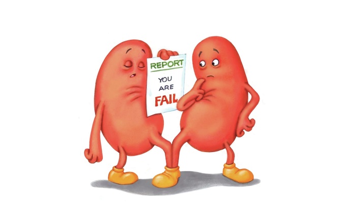 funny kidney clipart - photo #1