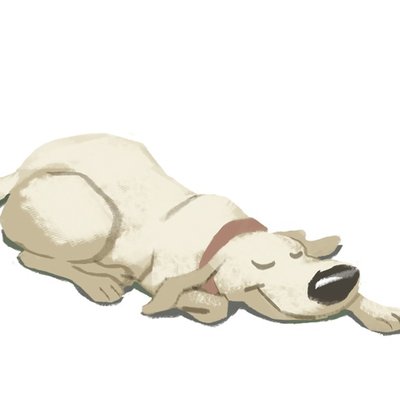 Doggy sleep