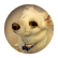 1eyedwolf