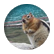 69ingchipmunks