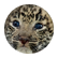 Alan127