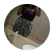 Alexisga
