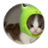 AmyAnime