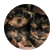 Ani5