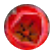 AnthonyERen1