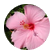 Aparna08