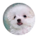 ArushiA