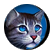Ashfur