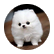 BAMitsME