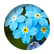 BSQ