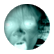 BaileyBM