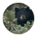 Bear23