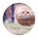 CC4J