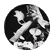 CMSJordanT