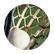 CNSlax22
