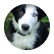 CleoHamish