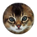 CleverWriter1234