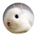 CoryL